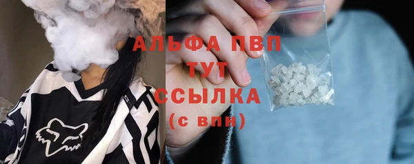 прущие грибы Баксан