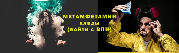 прущие грибы Баксан