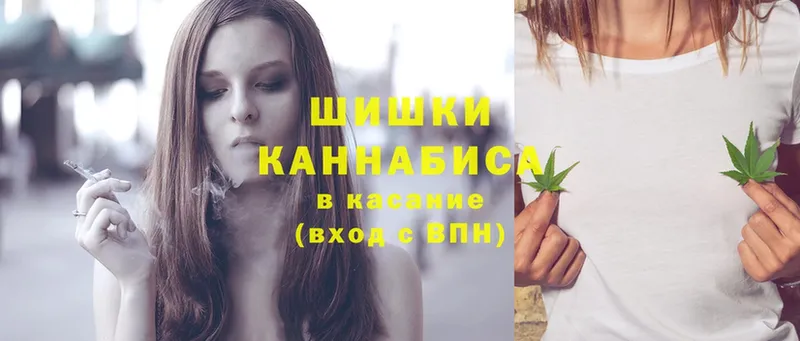 купить наркотик  Белозерск  OMG зеркало  Бошки Шишки SATIVA & INDICA 